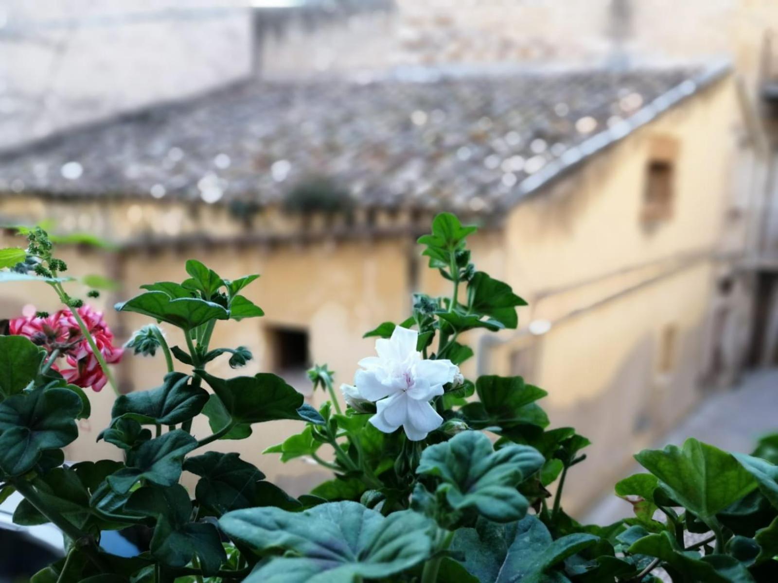 Bed and Breakfast Al-Zabut Sambuca di Sicilia Exterior foto